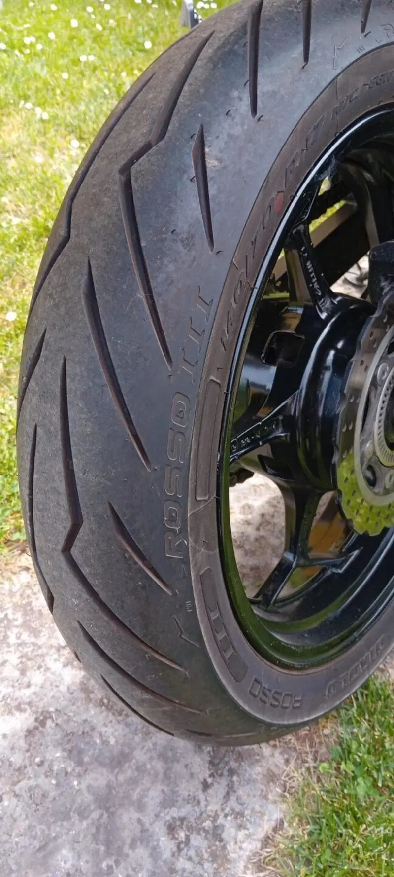 Kawasaki Z 300 ABS (2015 - 16) (3)