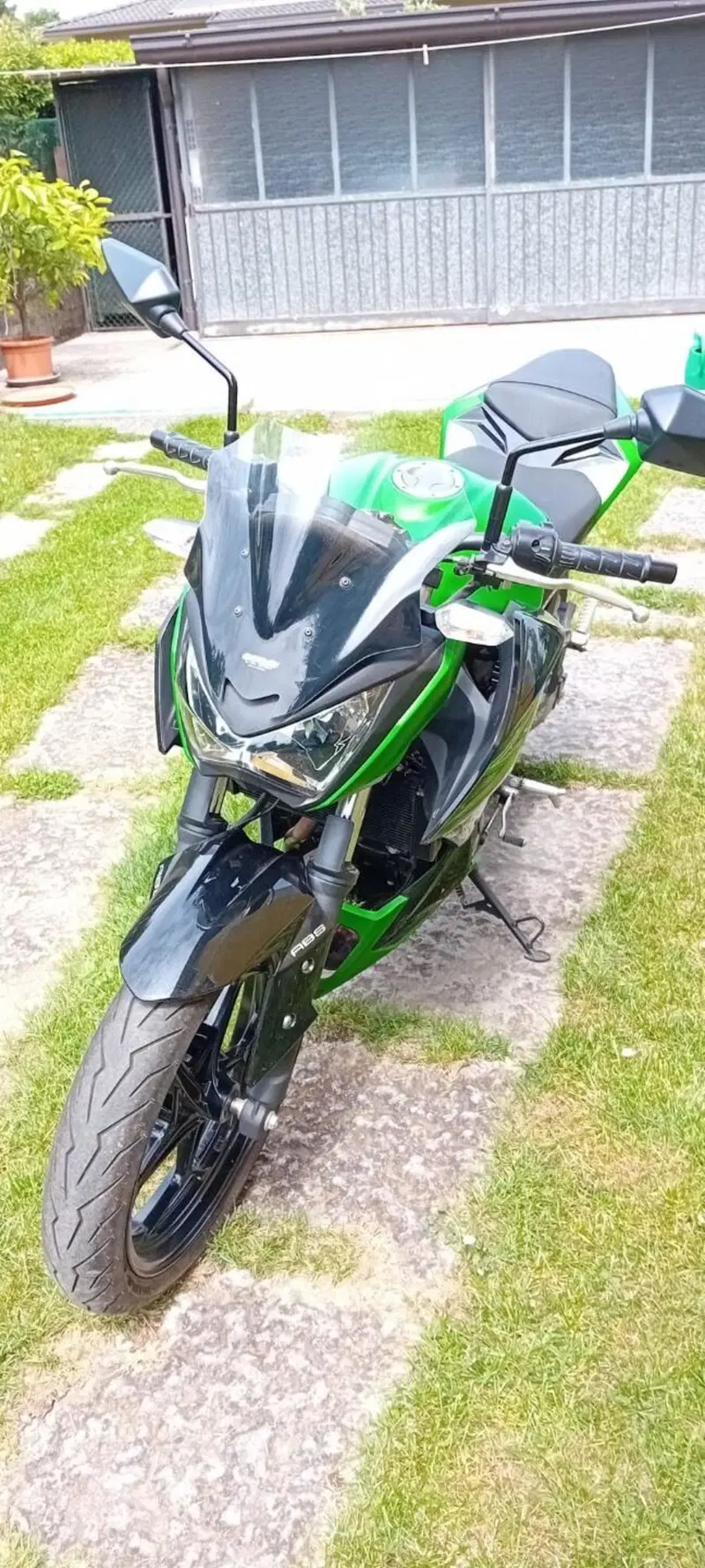 Kawasaki Z 300 ABS (2015 - 16) (4)