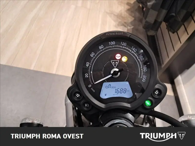 Triumph Scrambler 900 Icon Edition (2025 - 26) (12)
