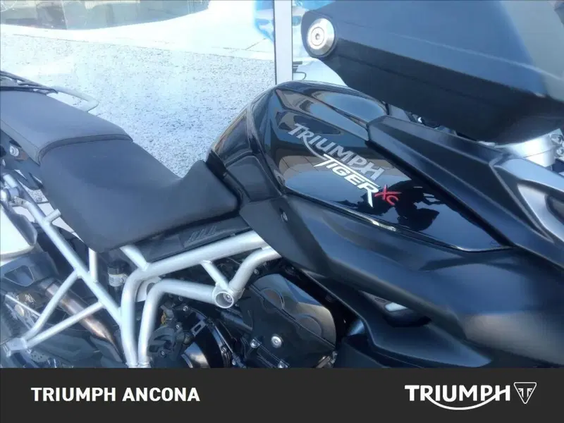 Triumph Tiger 800 XC (2011 - 12) (6)