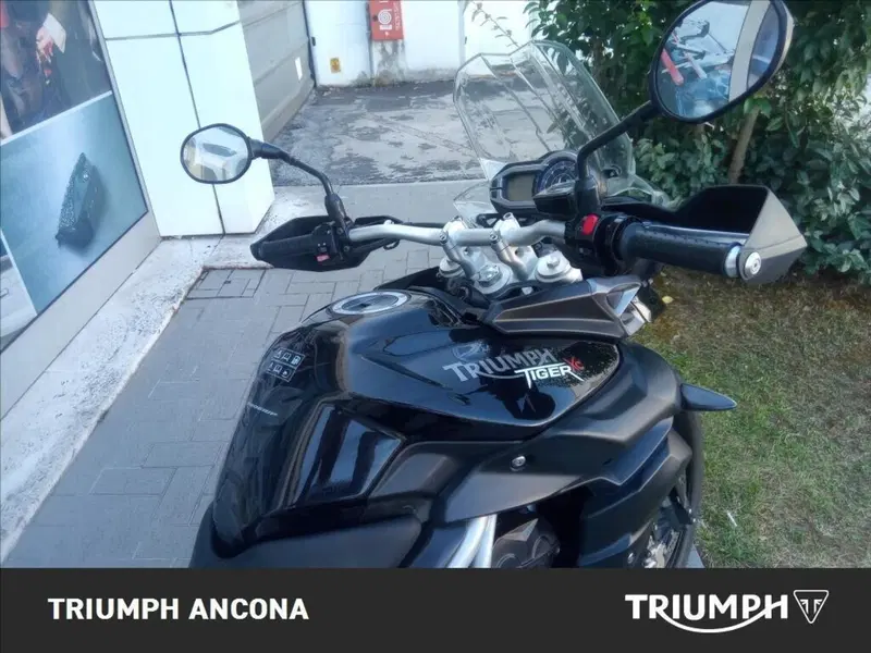 Triumph Tiger 800 XC (2011 - 12) (8)