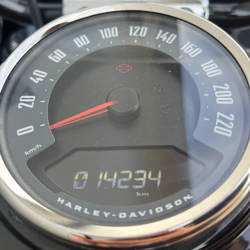 Harley-Davidson Heritage Classic (2021 - 24) (11)