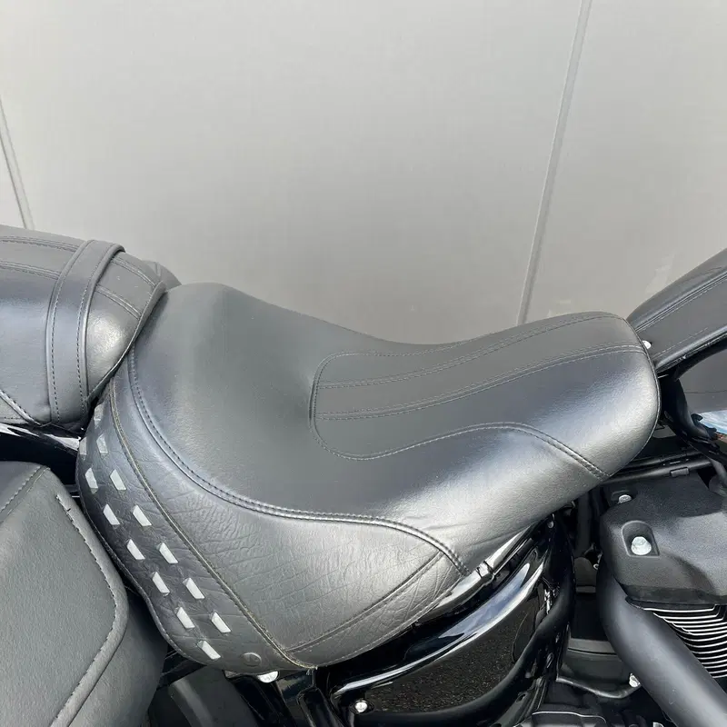 Harley-Davidson Heritage Classic (2021 - 24) (15)