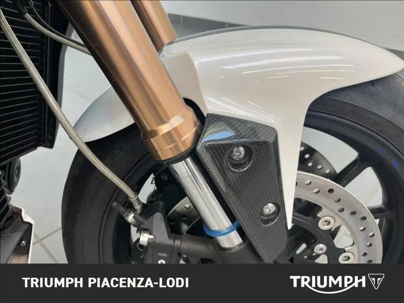 Triumph Speed Triple 1050 (2011 - 13) (6)