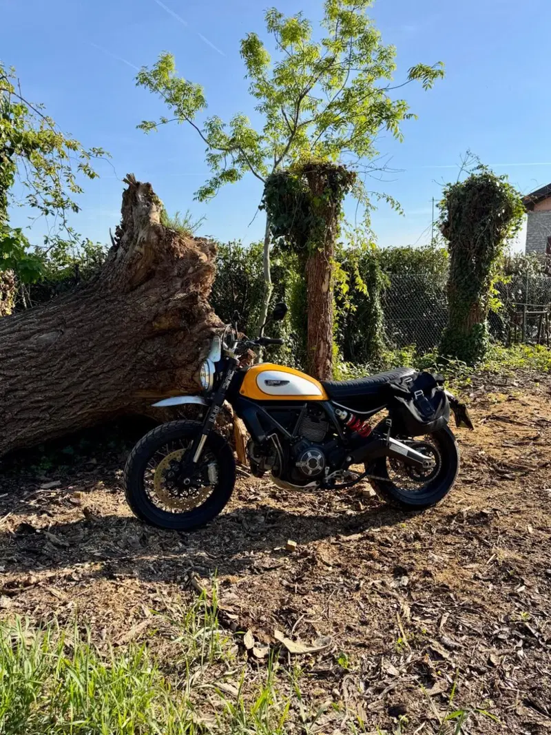 Ducati Scrambler 800 Classic (2015 - 16) (2)