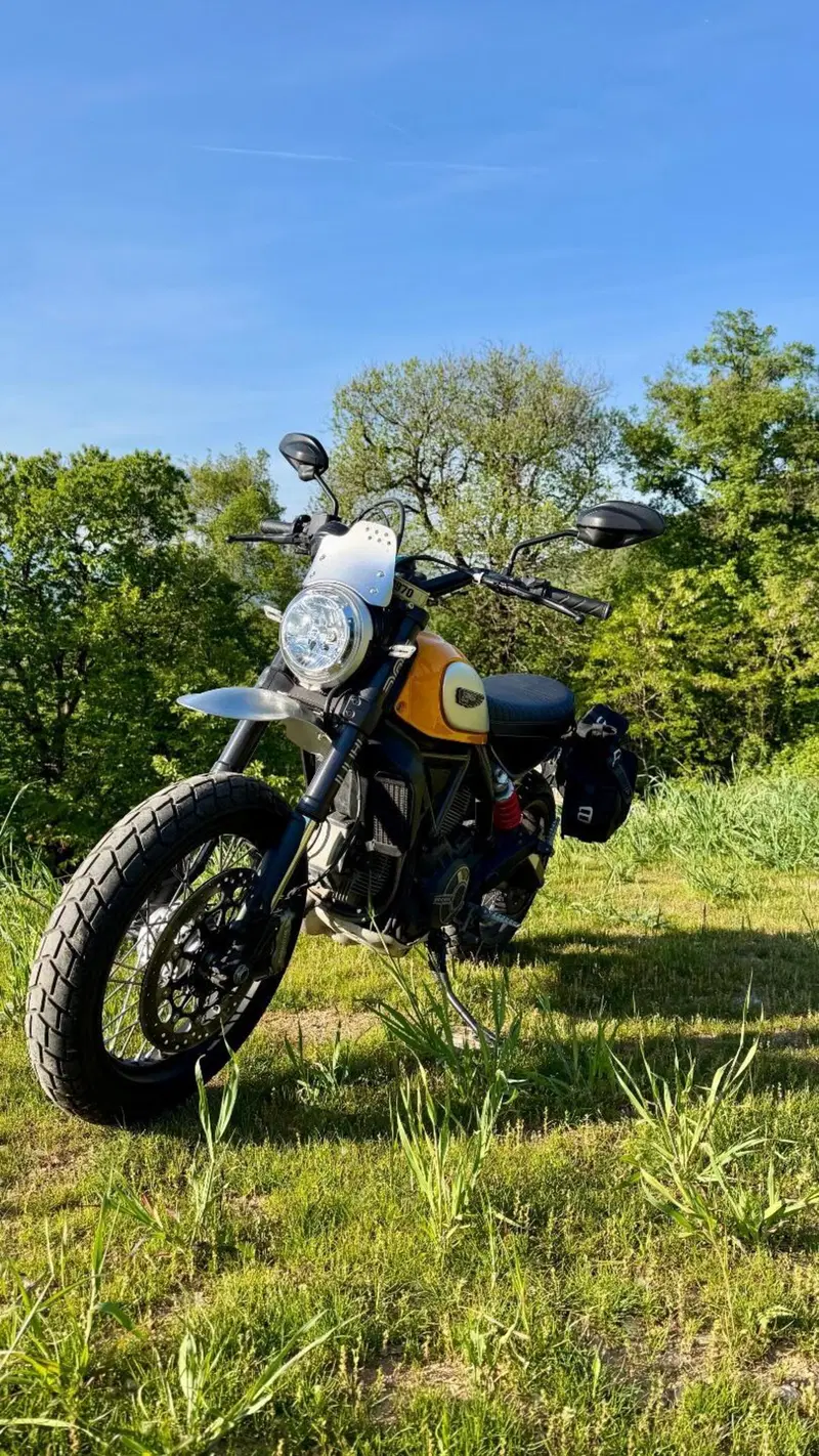 Ducati Scrambler 800 Classic (2015 - 16) (3)