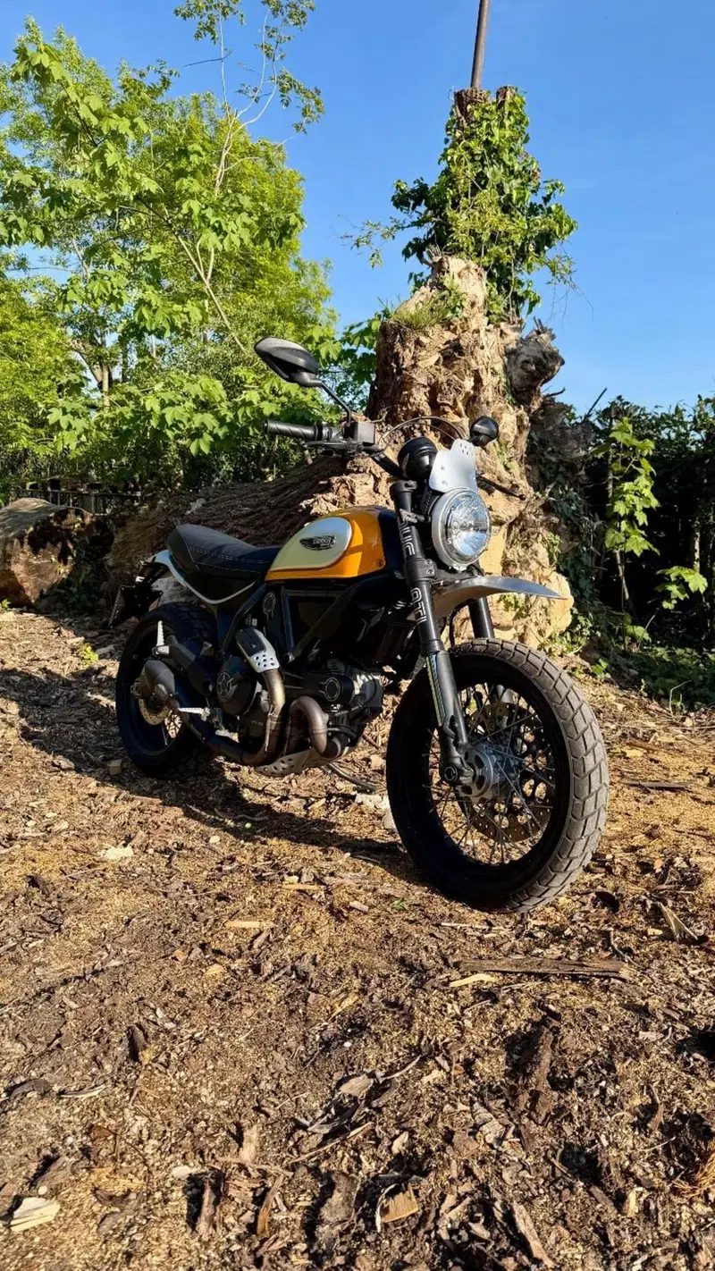 Ducati Scrambler 800 Classic (2015 - 16) (4)
