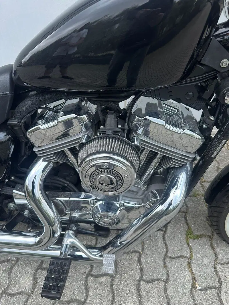 Harley-Davidson 883 (2008 - 09) - XL (9)