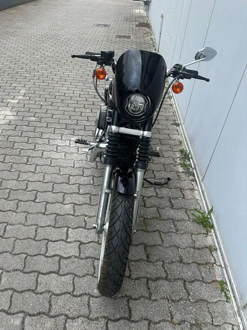 Harley-Davidson 883 (2008 - 09) - XL (2)