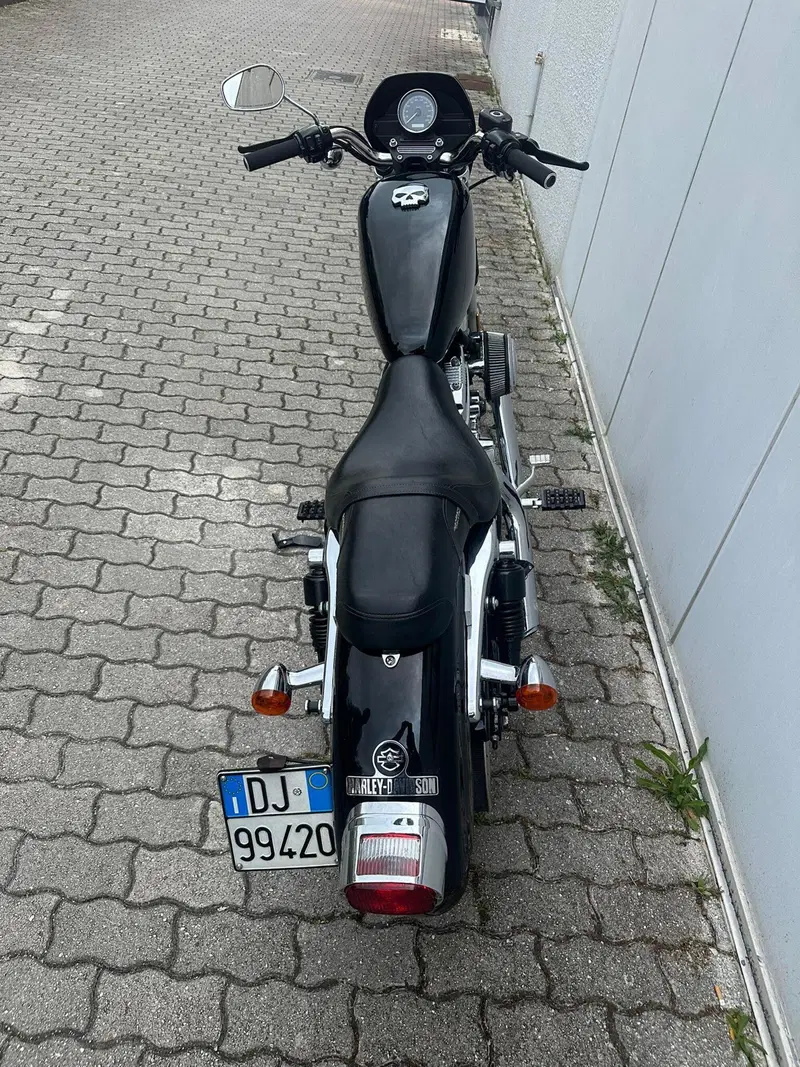 Harley-Davidson 883 (2008 - 09) - XL (5)