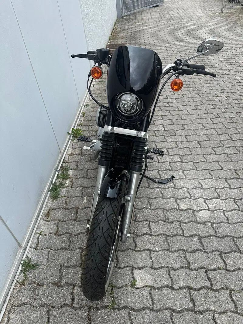 Harley-Davidson 883 (2008 - 09) - XL (8)