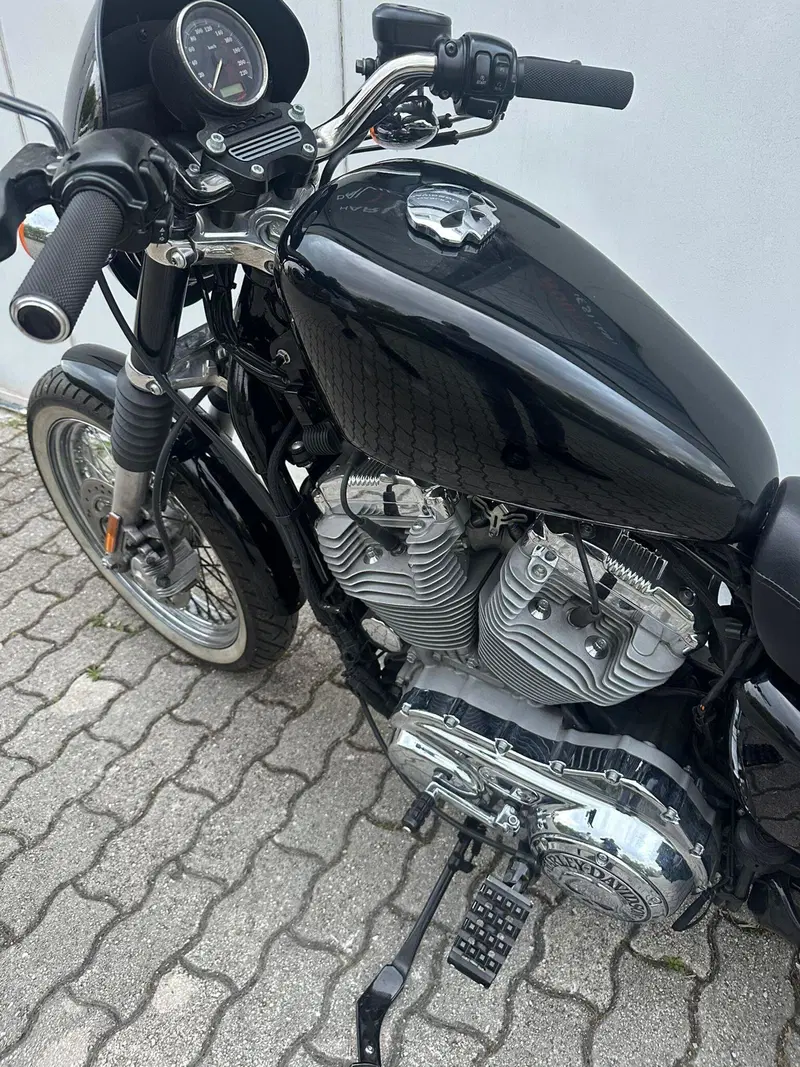 Harley-Davidson 883 (2008 - 09) - XL (4)