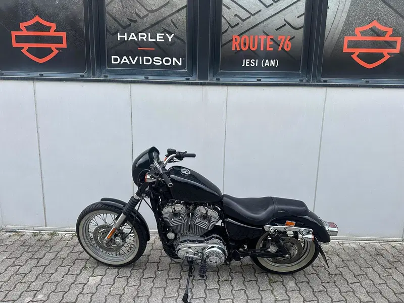 Harley-Davidson 883 (2008 - 09) - XL (12)