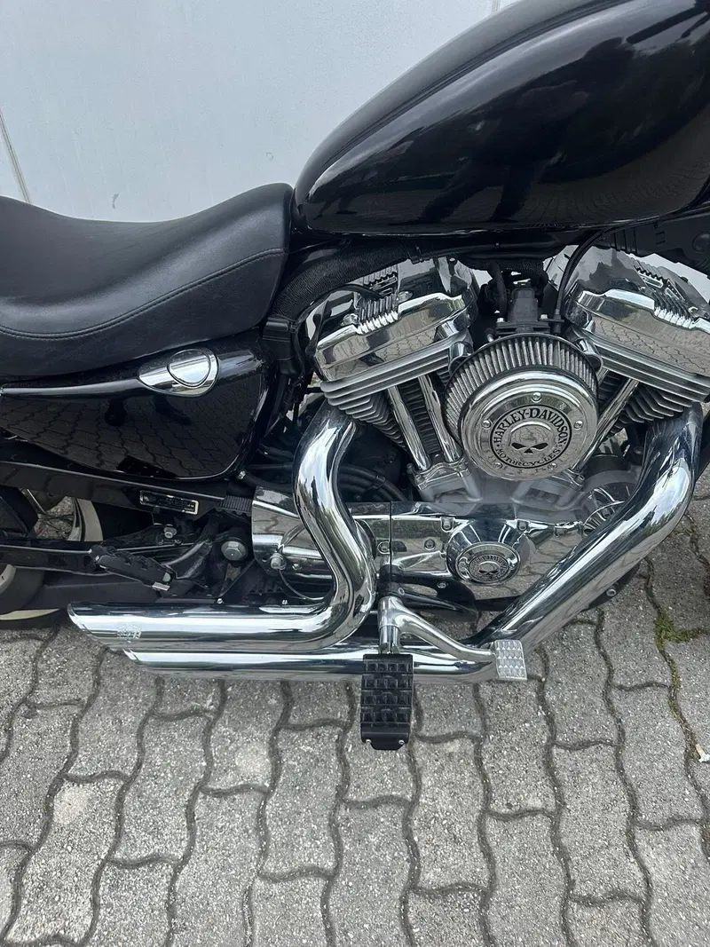 Harley-Davidson 883 (2008 - 09) - XL (10)