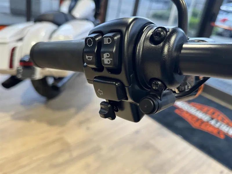 Harley-Davidson Low Rider S (2022 - 24) (4)
