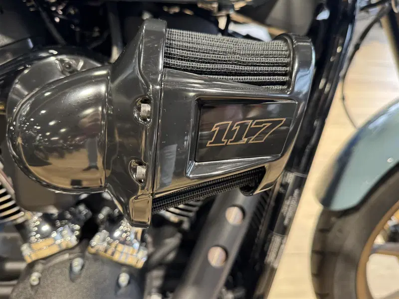 Harley-Davidson Low Rider S (2022 - 24) (6)