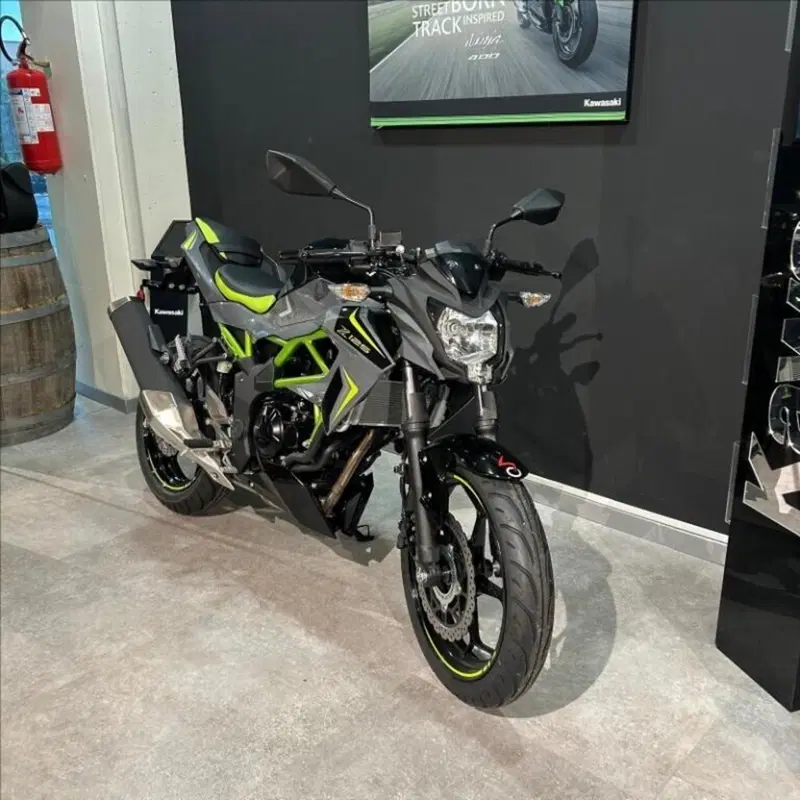 Kawasaki Z 125 (2025 - 26) (3)