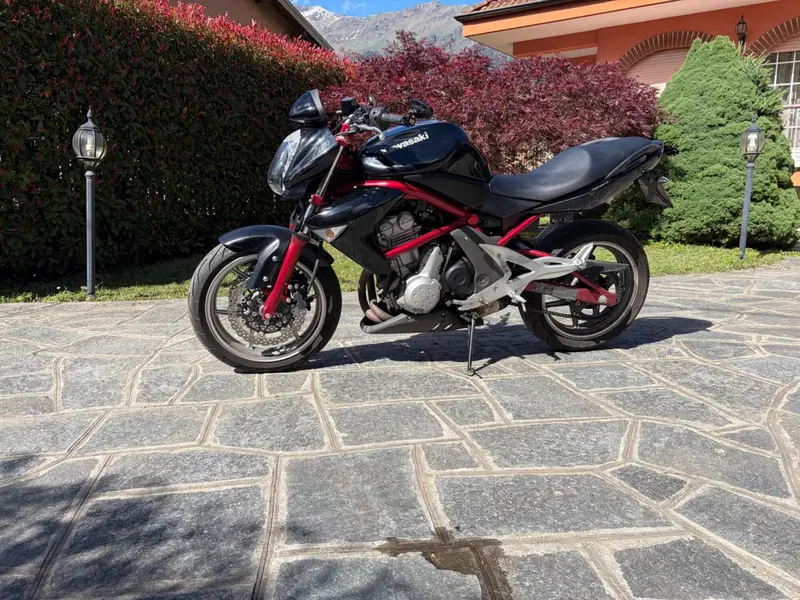 Kawasaki ER-6N (2005 - 08) (3)