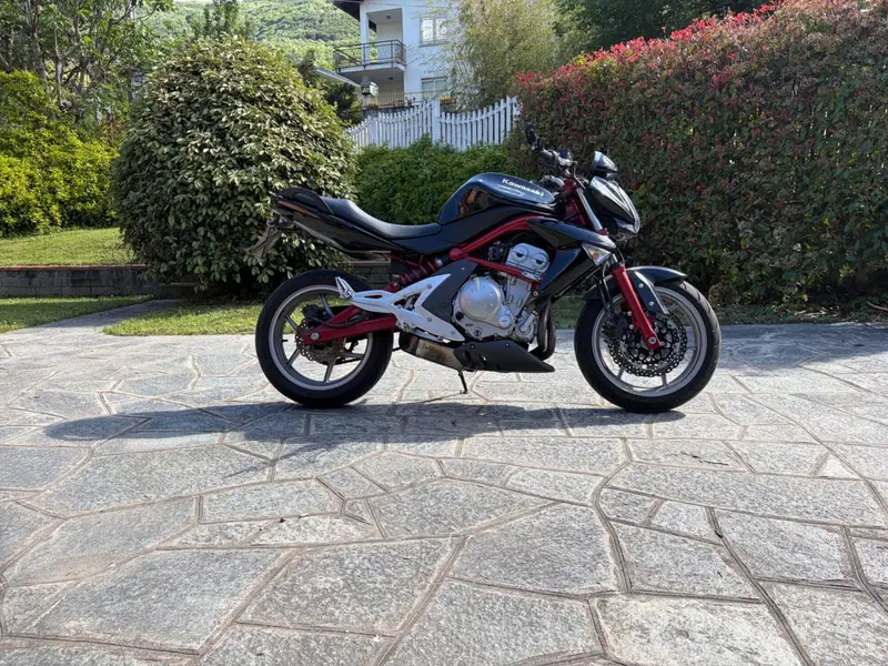 Kawasaki ER-6N (2005 - 08) (4)