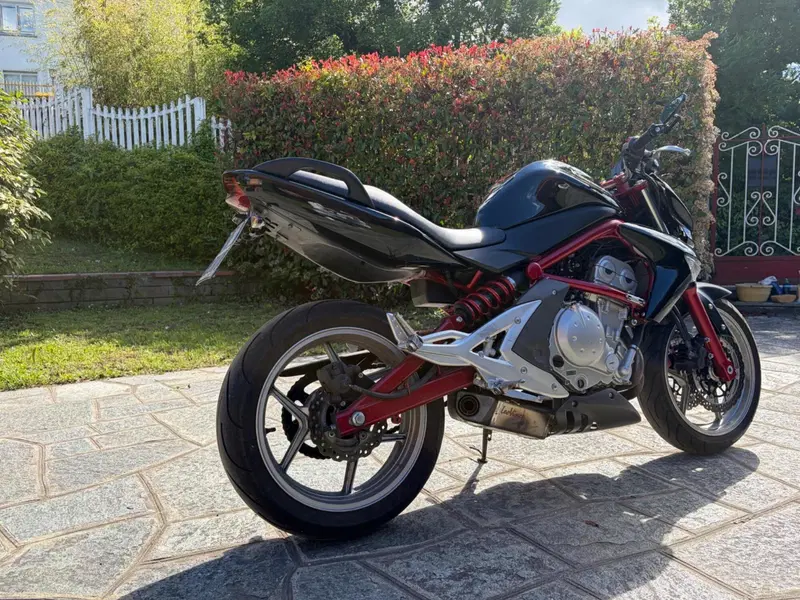 Kawasaki ER-6N (2005 - 08) (2)