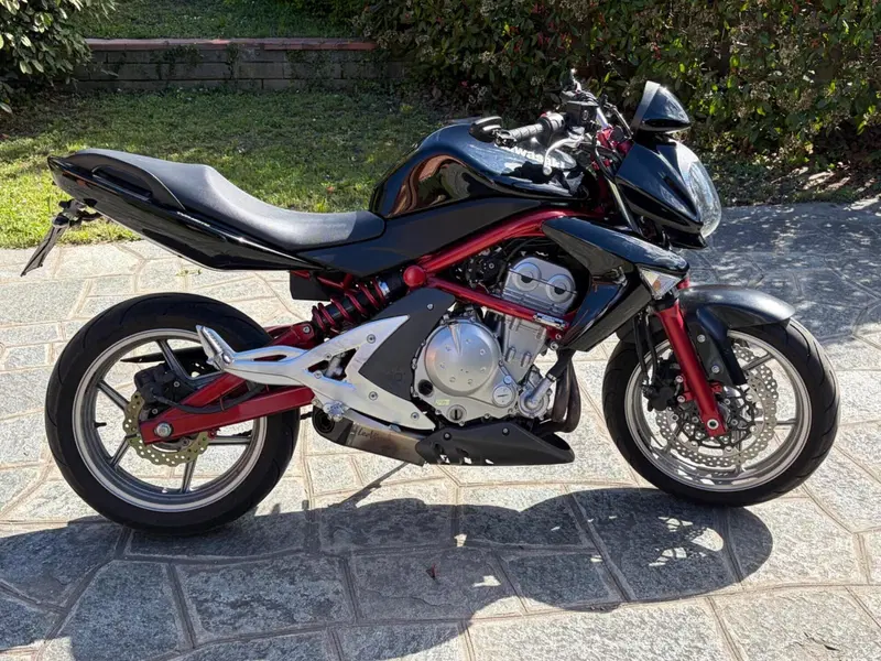 Kawasaki ER-6N (2005 - 08) (6)