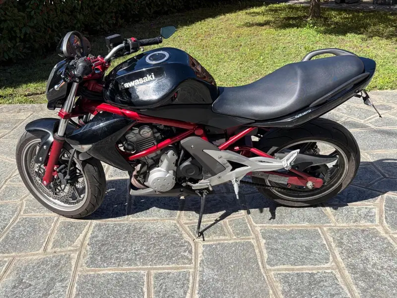 Kawasaki ER-6N (2005 - 08) (7)