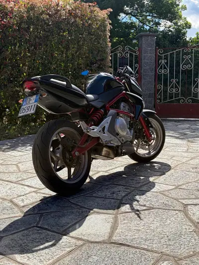 Kawasaki ER-6N (2005 - 08) usata