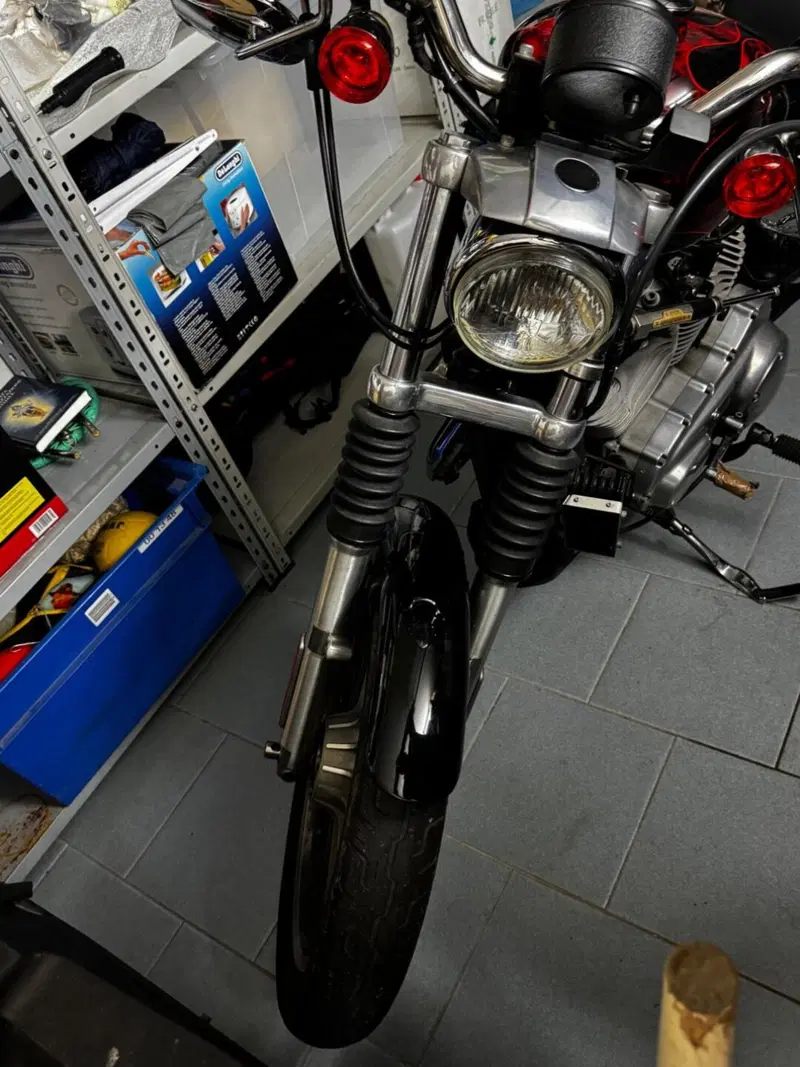 Harley-Davidson Sportster 883 XL (11)
