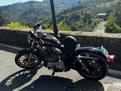 Harley-Davidson Sportster 883 XL d'epoca