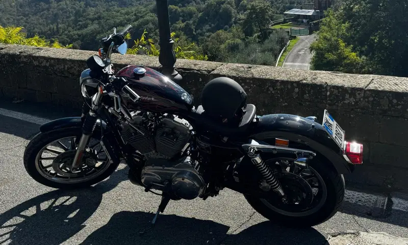 Harley-Davidson Sportster 883 XL (3)