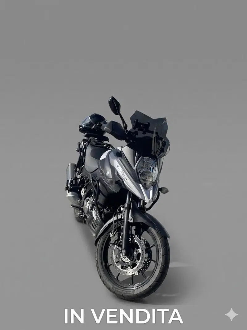 Suzuki V-Strom 650 ABS (2017 - 20) (8)
