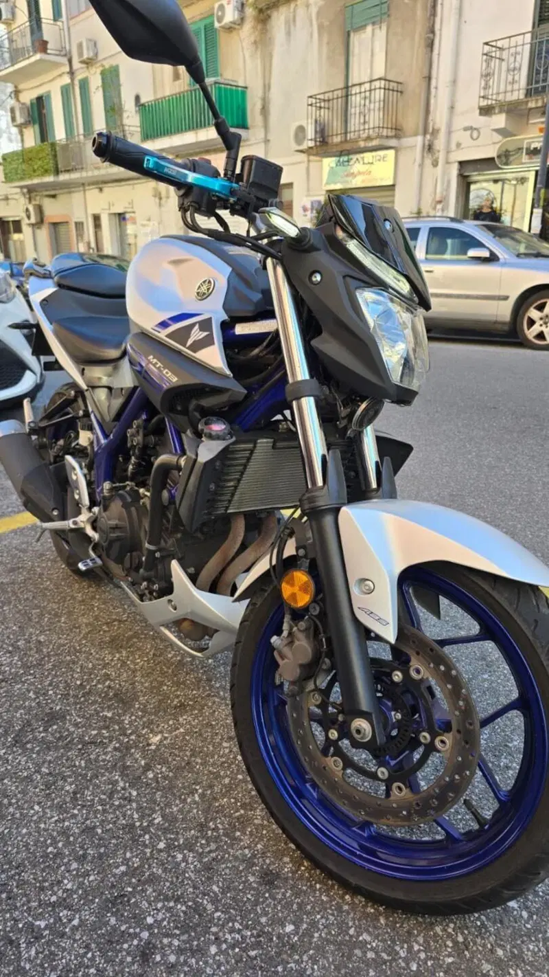 Yamaha MT-03 (2016 - 17) (3)