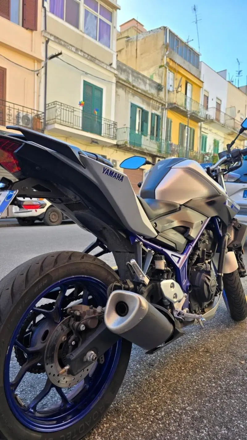 Yamaha MT-03 (2016 - 17) (4)