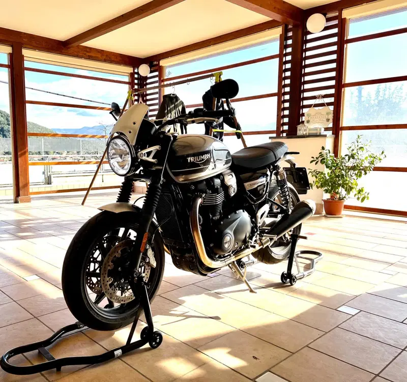Triumph Speed Twin 1200 (2019 - 20) (7)