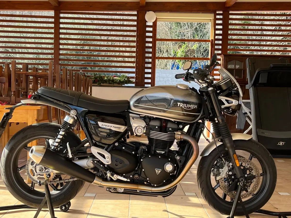 Triumph Speed Twin 1200 (2019 - 20) (9)