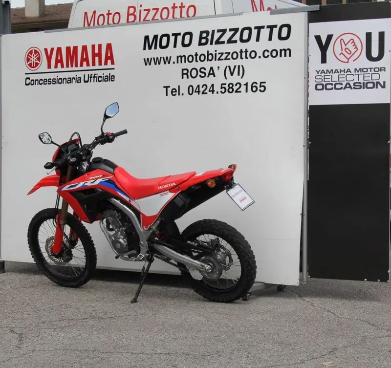 Honda CRF 300L (2021 - 24) (4)