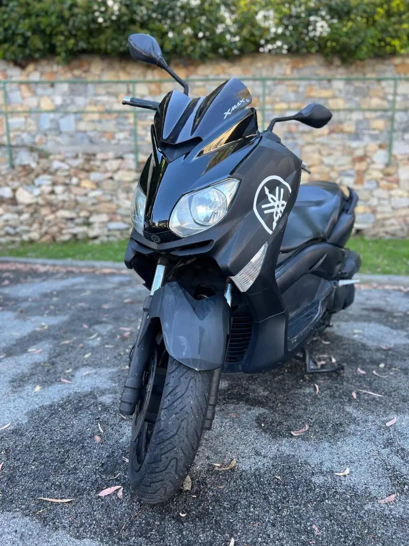 Yamaha X-Max 250 (2010 - 13) (2)