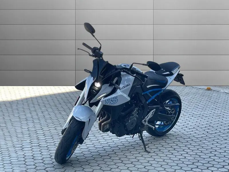 Suzuki GSX-8S (2023 - 24) (2)