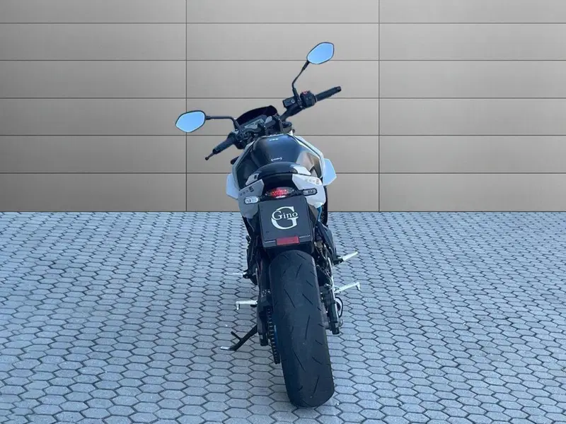 Suzuki GSX-8S (2023 - 24) (7)