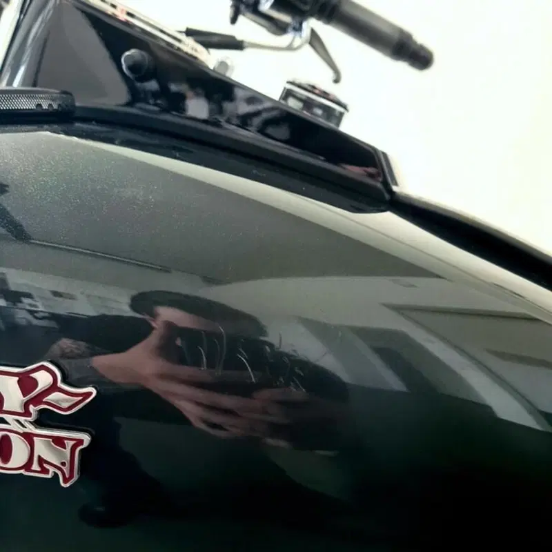 Harley-Davidson 1450 Night Train (2002 - 05) - FXSTBI (10)