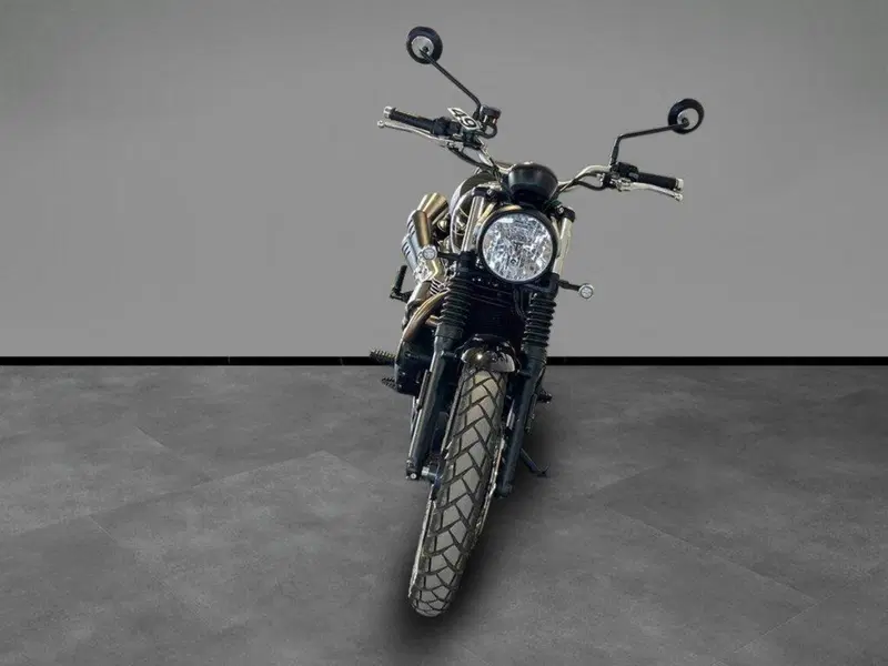 Triumph Scrambler 900 (2023 - 25) (3)