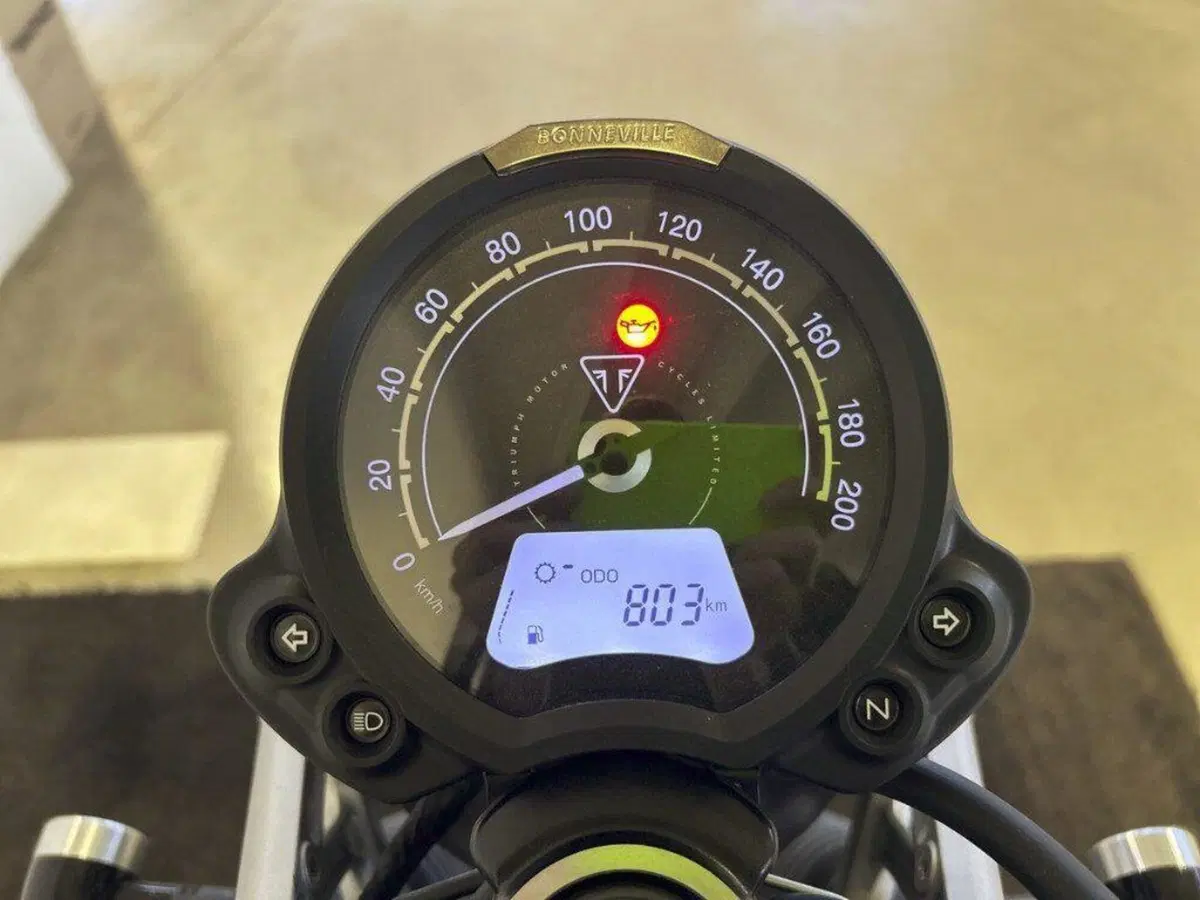Triumph Scrambler 900 (2023 - 25) (6)