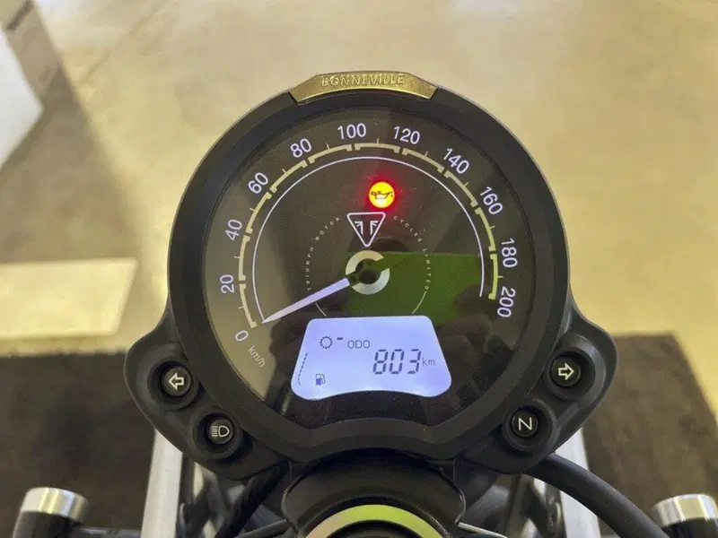 Triumph Scrambler 900 (2023 - 25) (6)