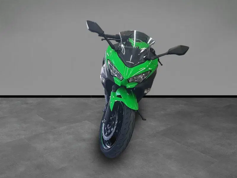 Kawasaki Ninja 400 (2018 - 20) (3)