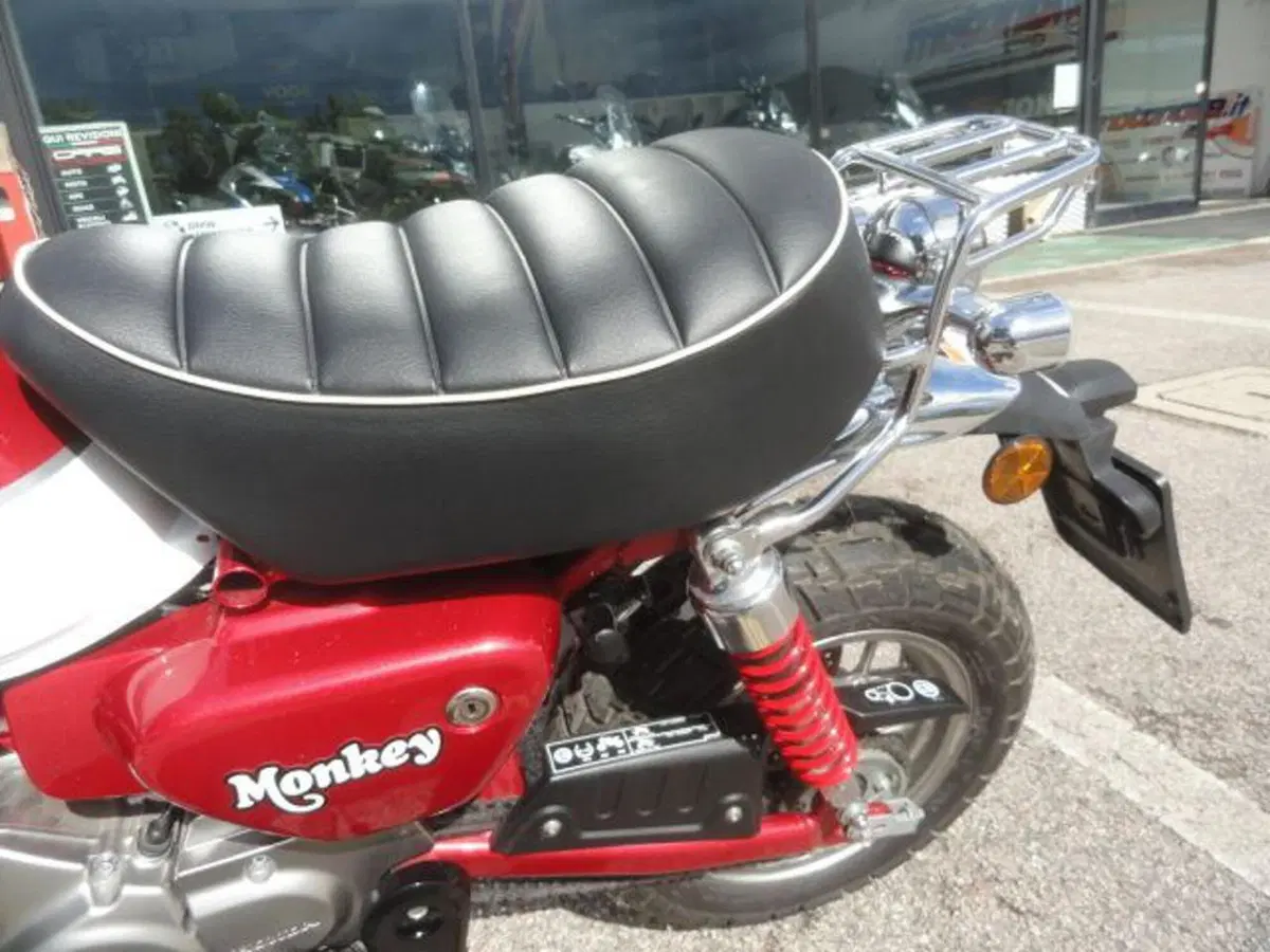 Honda Monkey 125 (2018 - 20) (9)