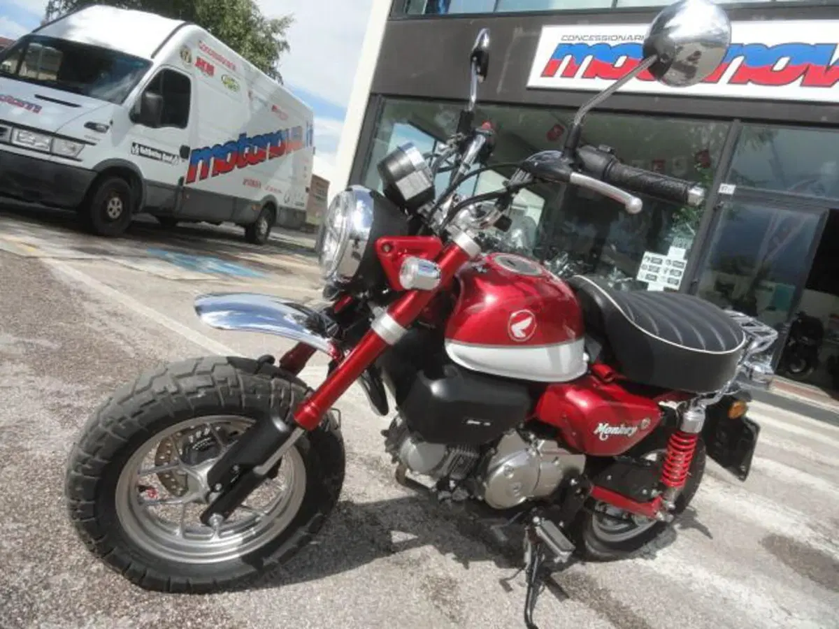 Honda Monkey 125 (2018 - 20) (4)