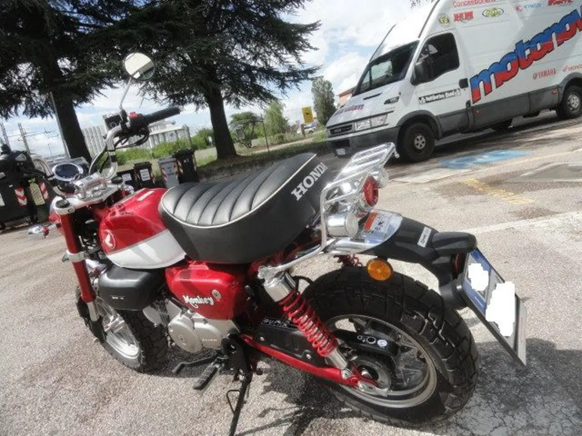 Honda Monkey 125 (2018 - 20) (6)