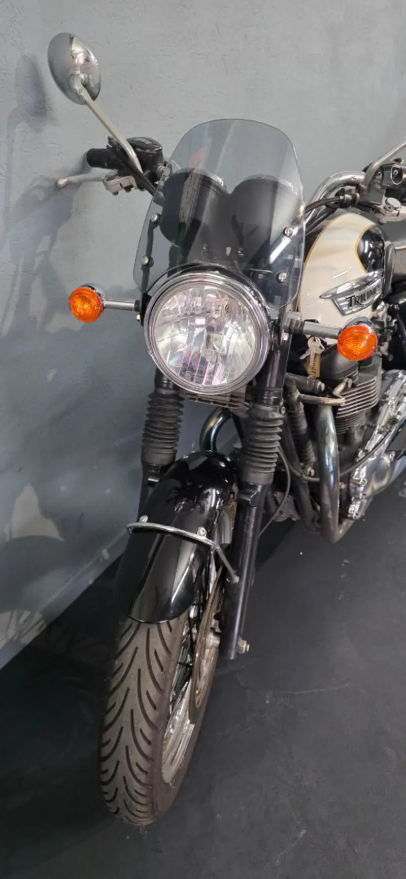 Triumph Bonneville T100 (2008 - 16) (2)