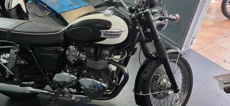 Triumph Bonneville T100 (2008 - 16) (6)