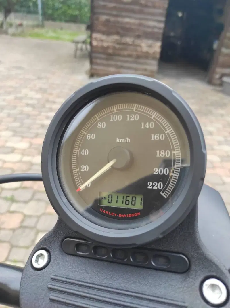 Harley-Davidson 883 Iron (2009 - 11) - XL 883N (5)